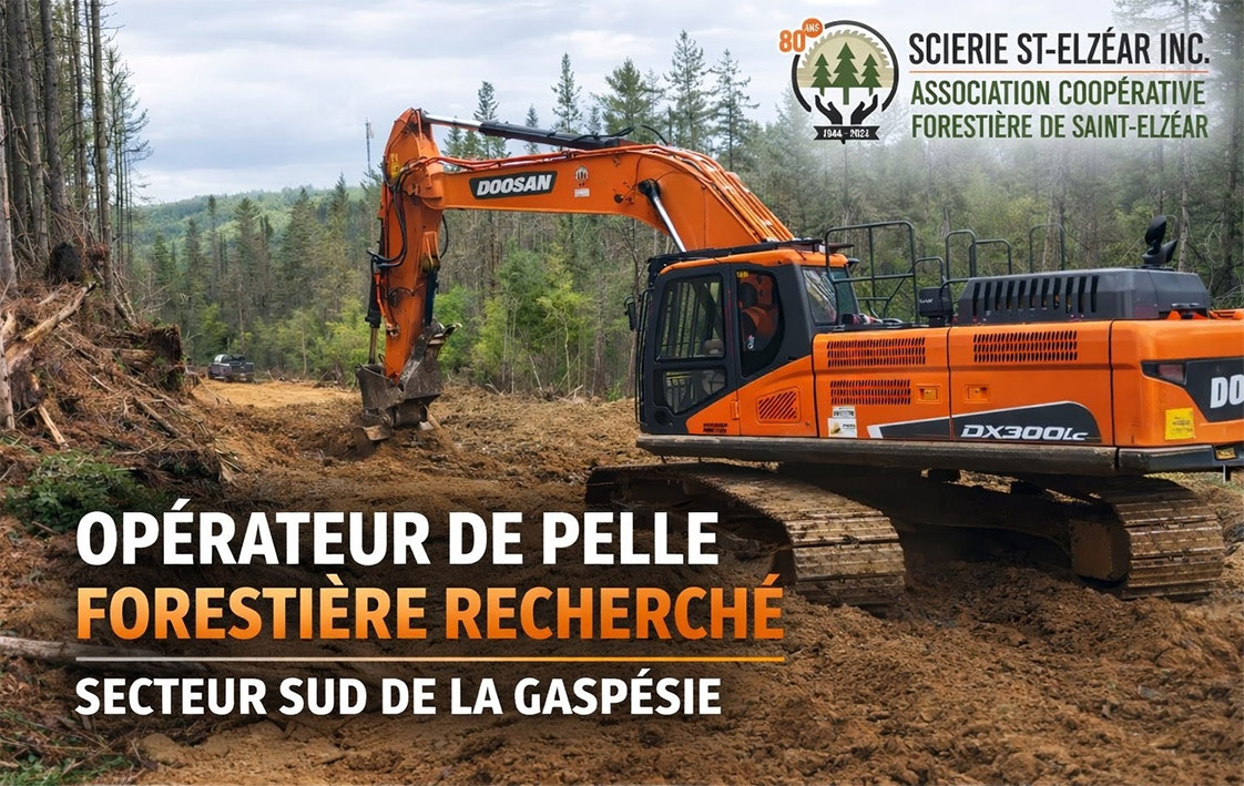 Images d'archives Scierie Saint-Elzéar